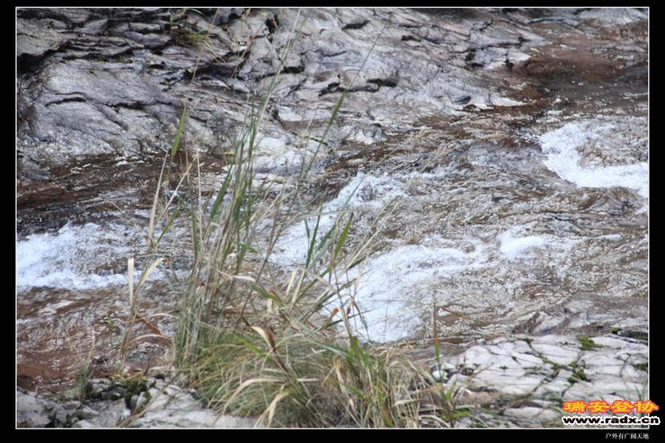 与仙同游 294.jpg