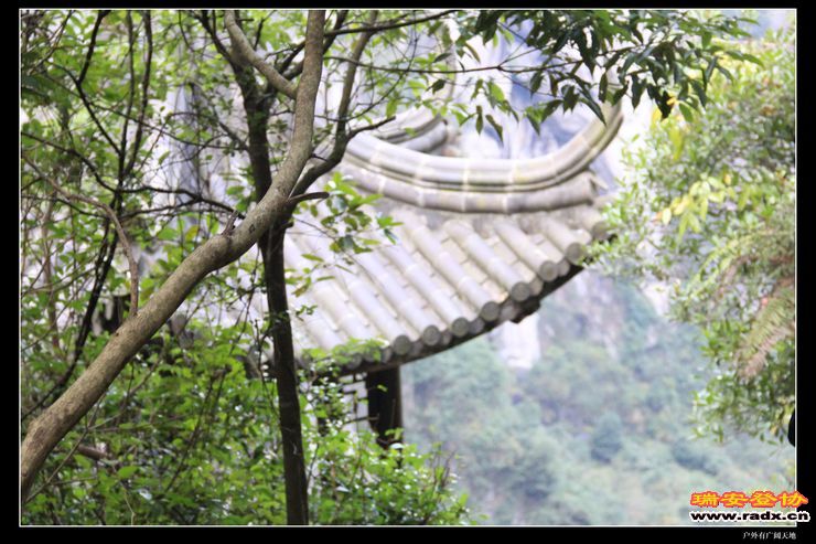 与仙同游 311.jpg