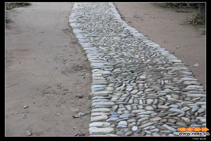 与仙同游 380.jpg