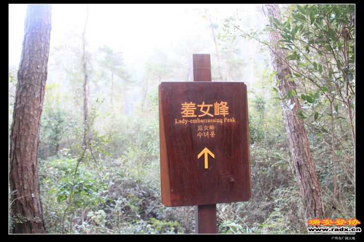 与仙同游 398.jpg