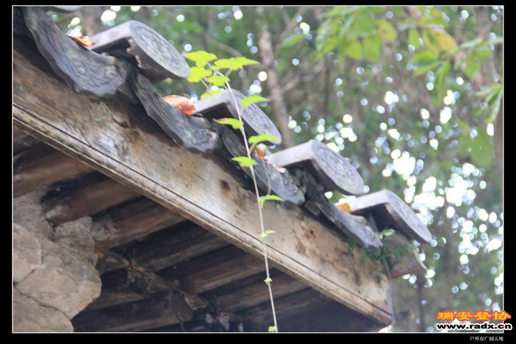 与仙同游 411.jpg