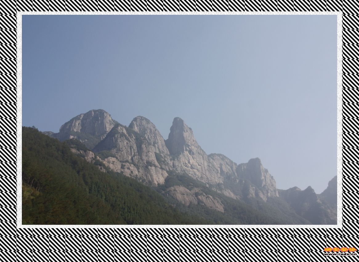 _MG_9731.JPG