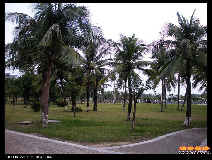 正对面为红树林公园