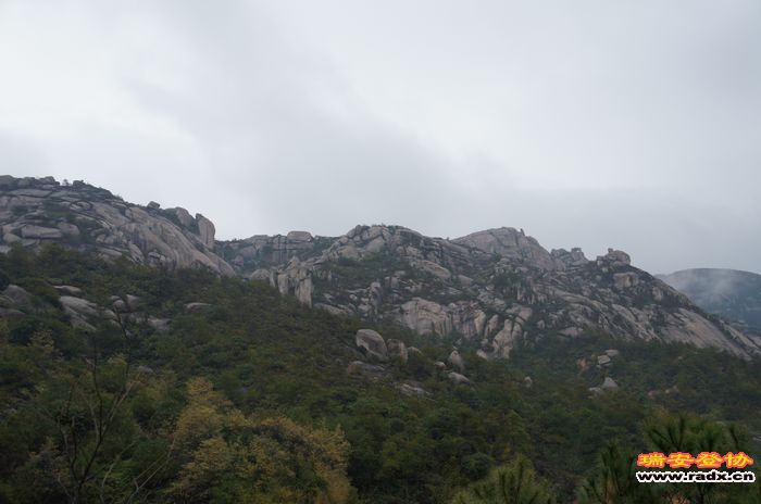 DSC01619.jpg