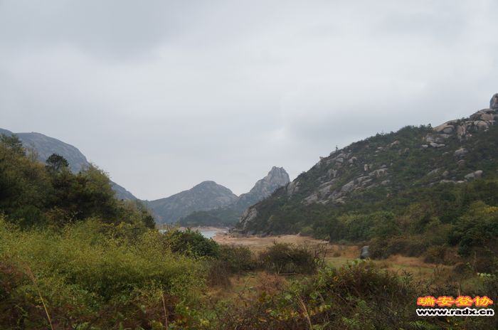 DSC01618.jpg