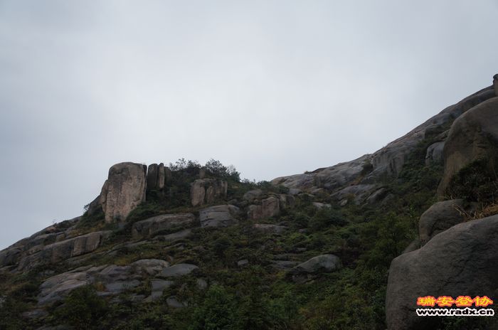 DSC01632.jpg