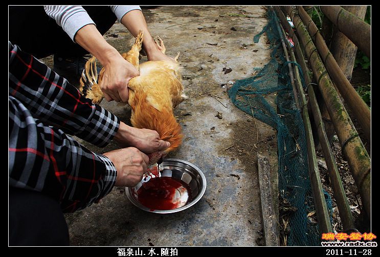 nEO_IMG_照片 006.jpg