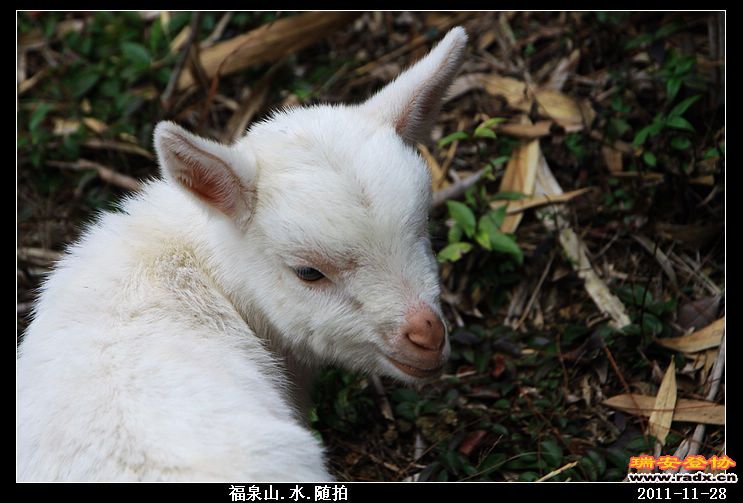 nEO_IMG_照片 029.jpg