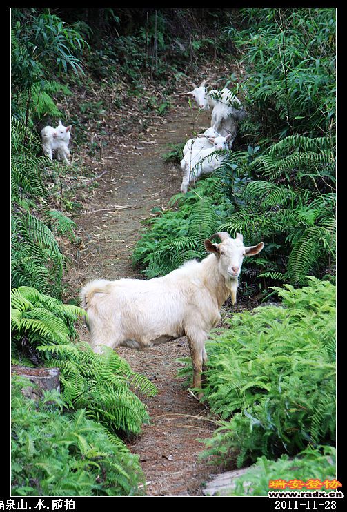 nEO_IMG_照片 020.jpg