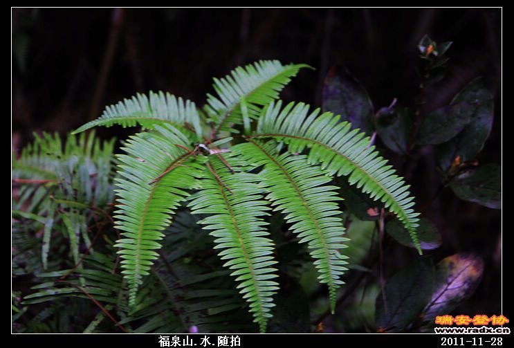 nEO_IMG_照片 043.jpg