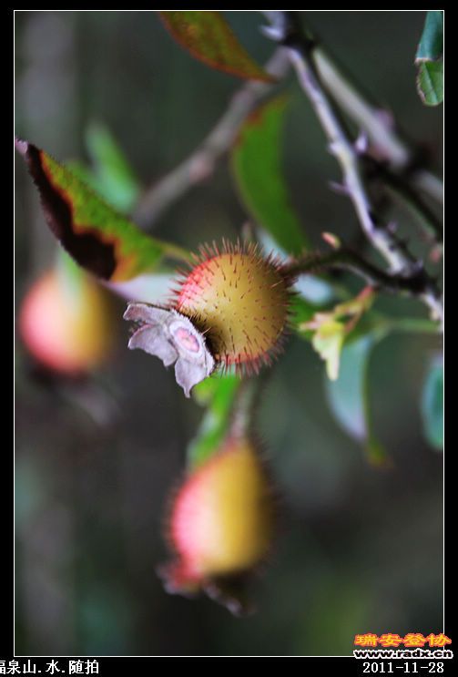 nEO_IMG_照片 036.jpg