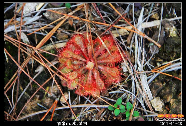 nEO_IMG_照片 056.jpg