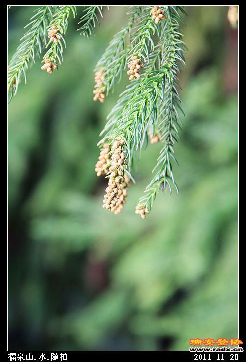 nEO_IMG_照片 128.jpg