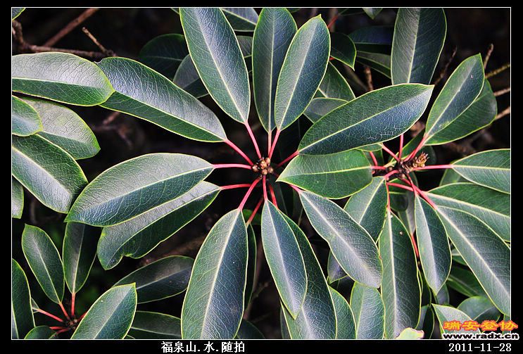 nEO_IMG_照片 117.jpg