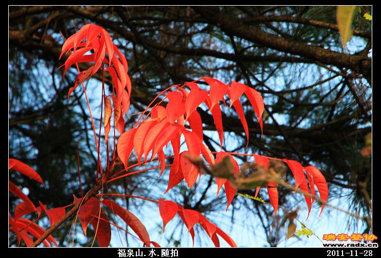 nEO_IMG_照片 122.jpg