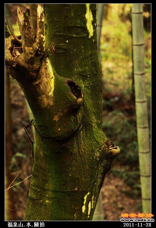 nEO_IMG_照片 138.jpg