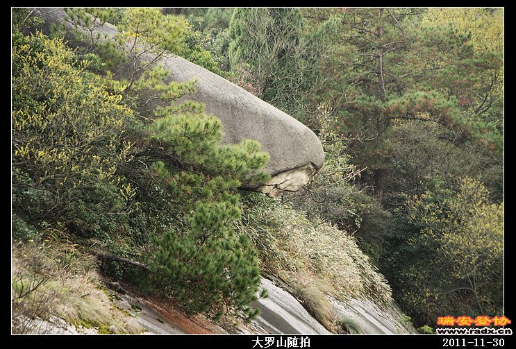 nEO_IMG_照片 035.jpg