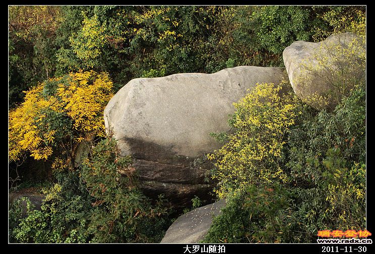 nEO_IMG_照片 036.jpg