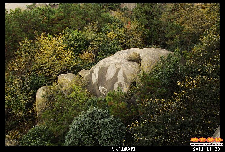 nEO_IMG_照片 037.jpg