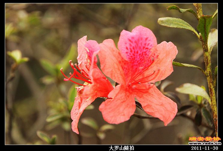 nEO_IMG_照片 047.jpg