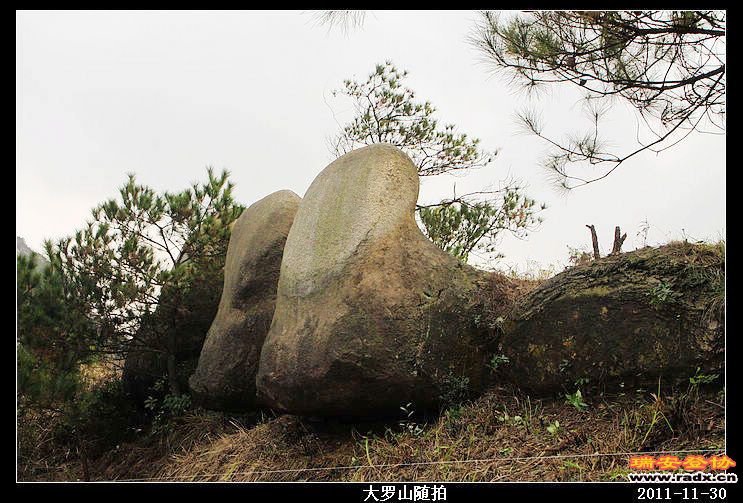 nEO_IMG_照片 045.jpg