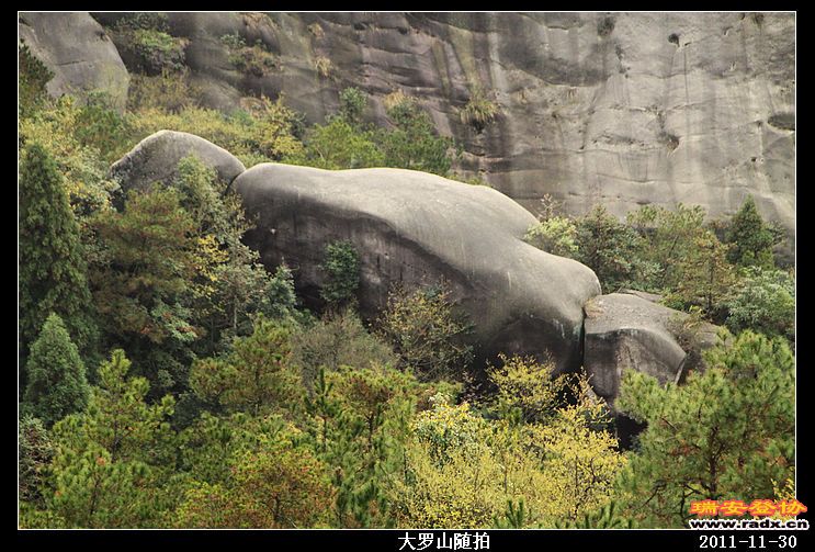 nEO_IMG_照片 055.jpg