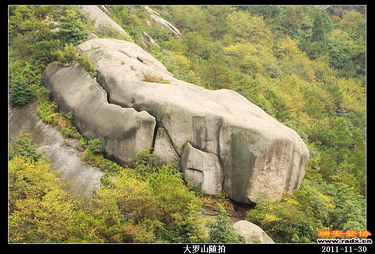 nEO_IMG_照片 052.jpg