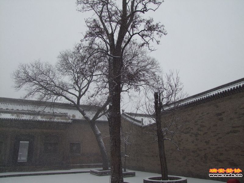 常家花园 (19).JPG