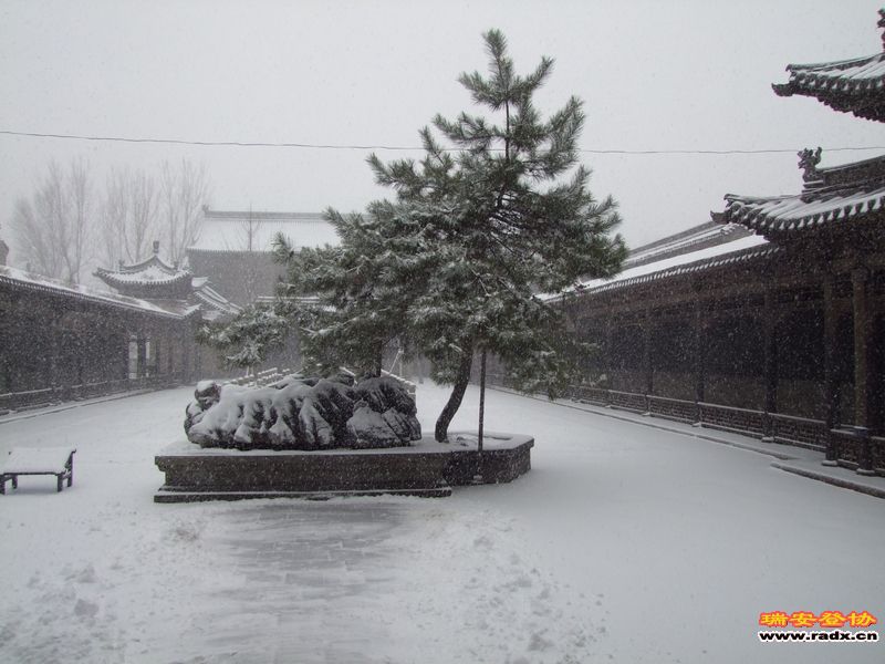 常家花园 (113).JPG