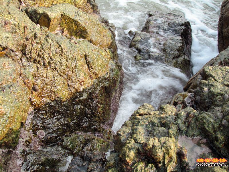 nEO_IMG_课本剧 141.jpg