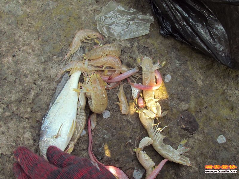 nEO_IMG_课本剧 164.jpg