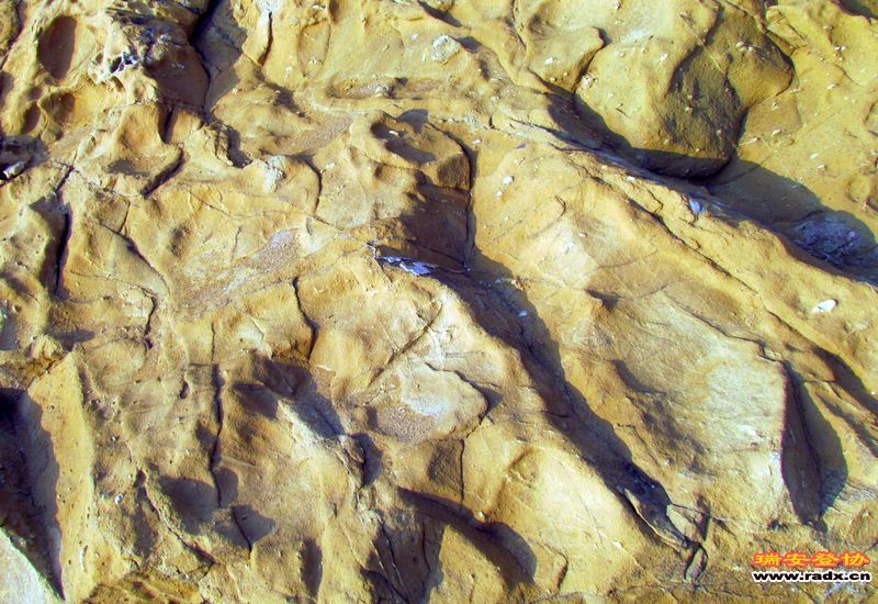 nEO_IMG_课本剧 233.jpg