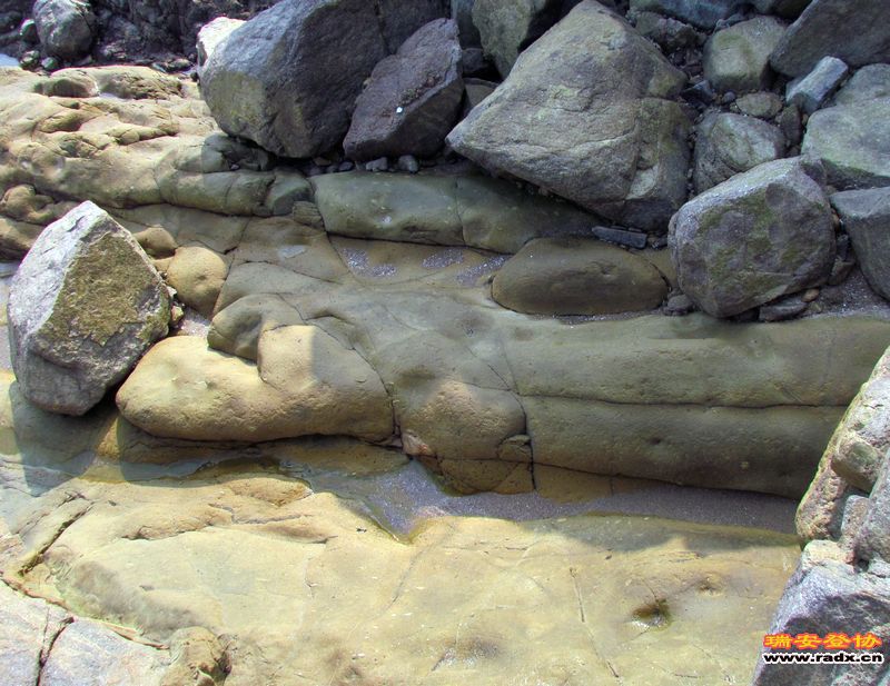 nEO_IMG_课本剧 232.jpg