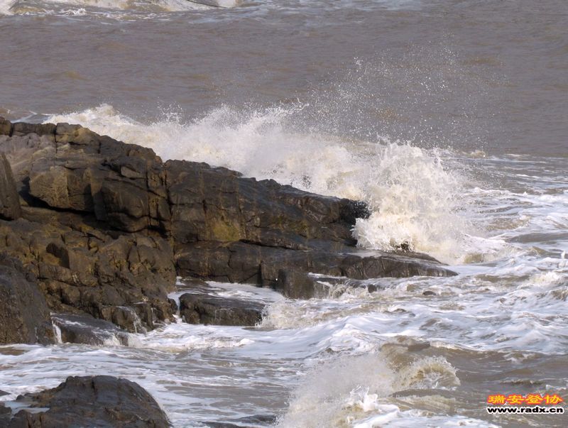 nEO_IMG_课本剧 346.jpg