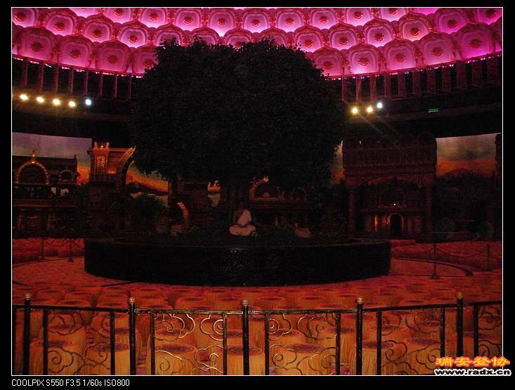 佛祖菩提树下悟道。