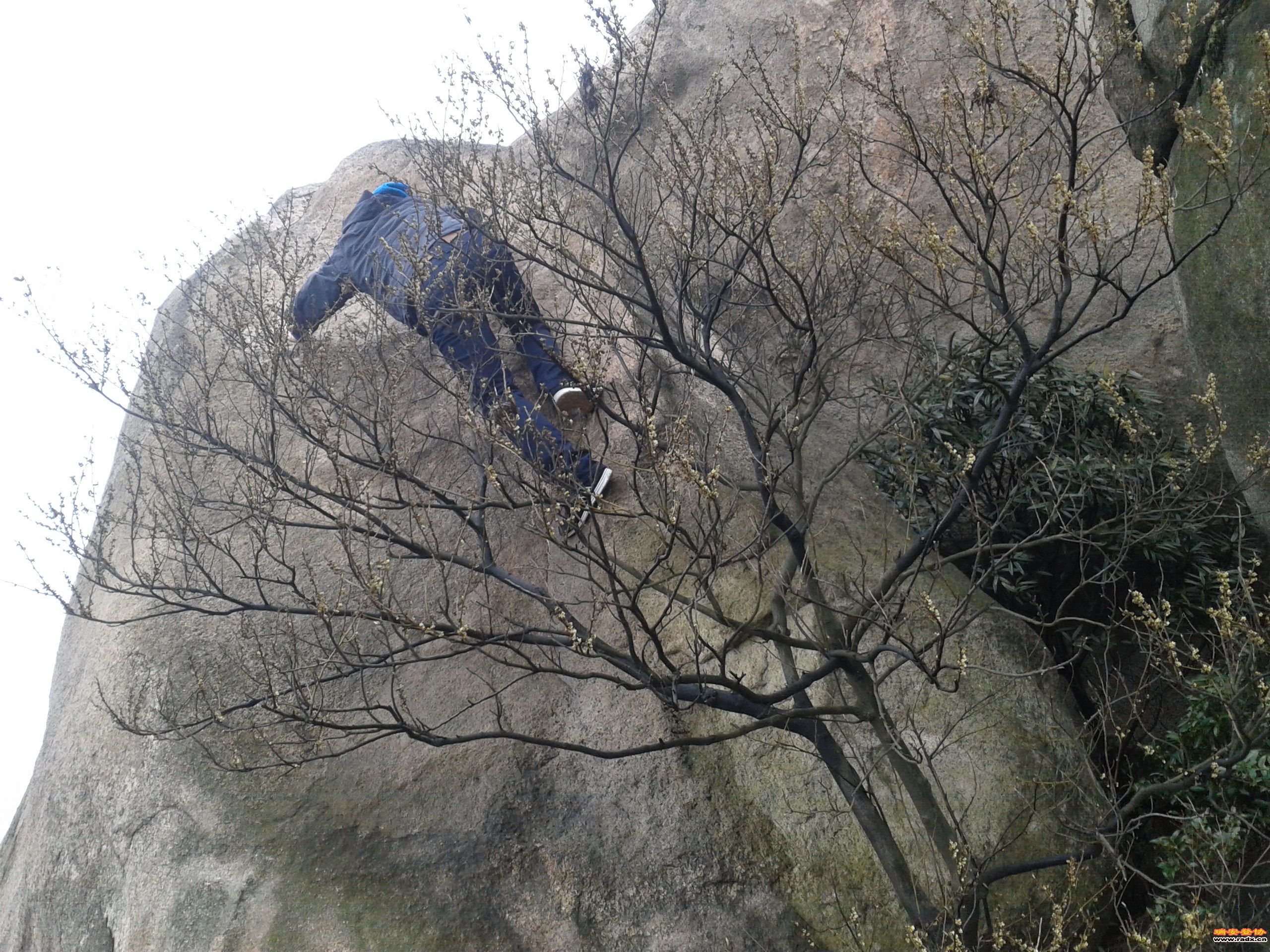 2012-02-02 09.38.28.jpg