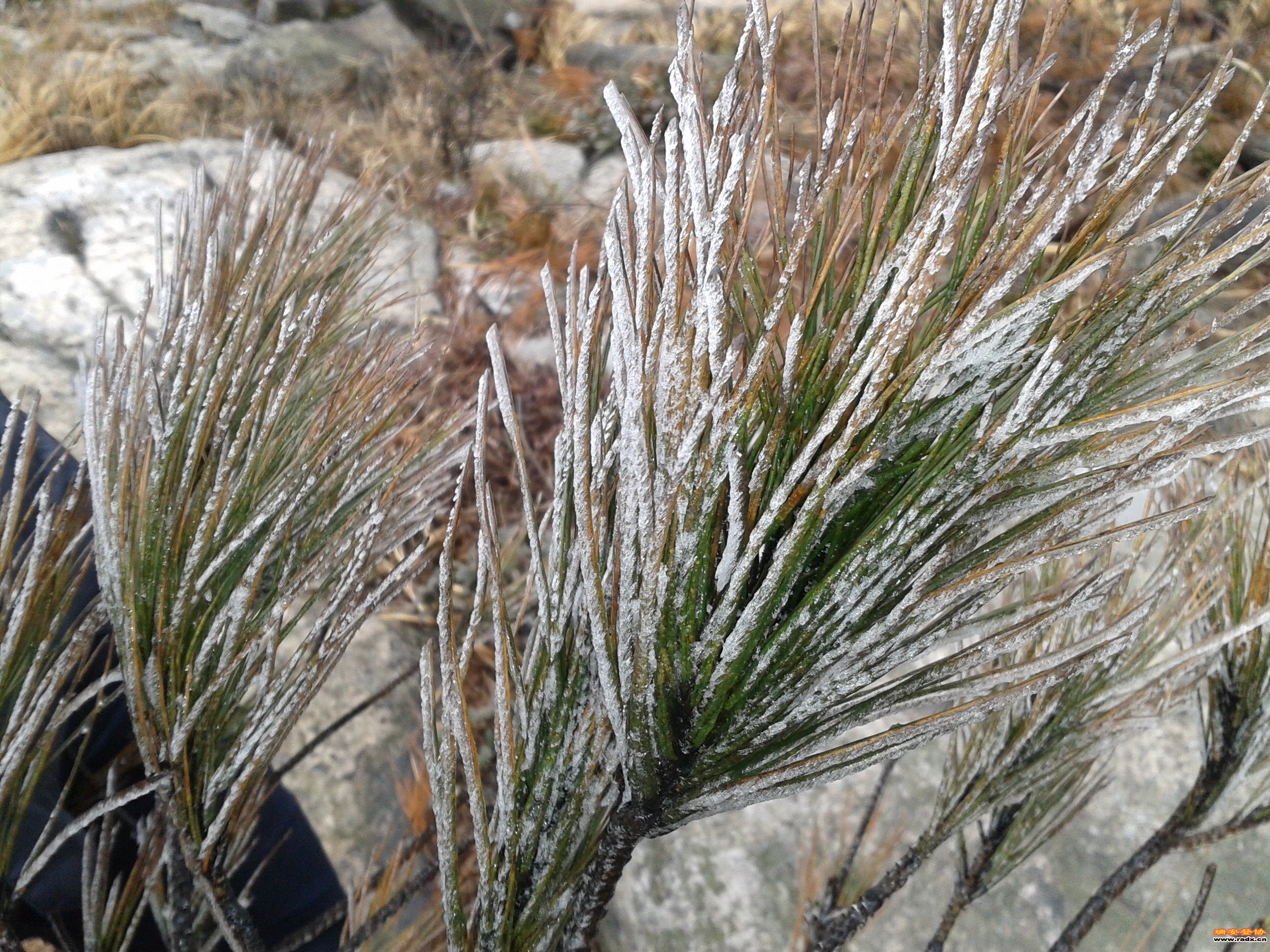 2012-02-02 12.34.46.jpg