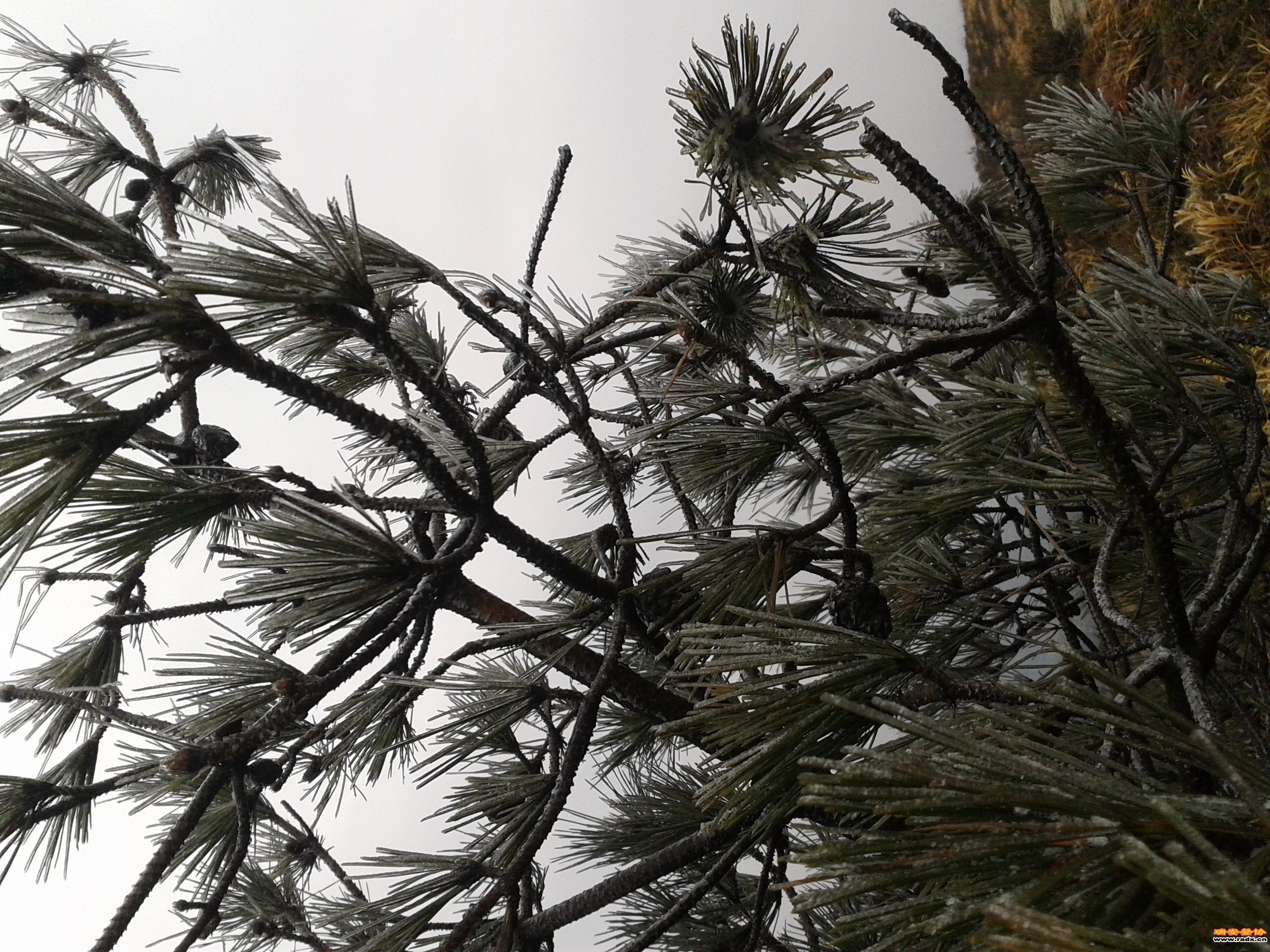 2012-02-02 12.35.08.jpg