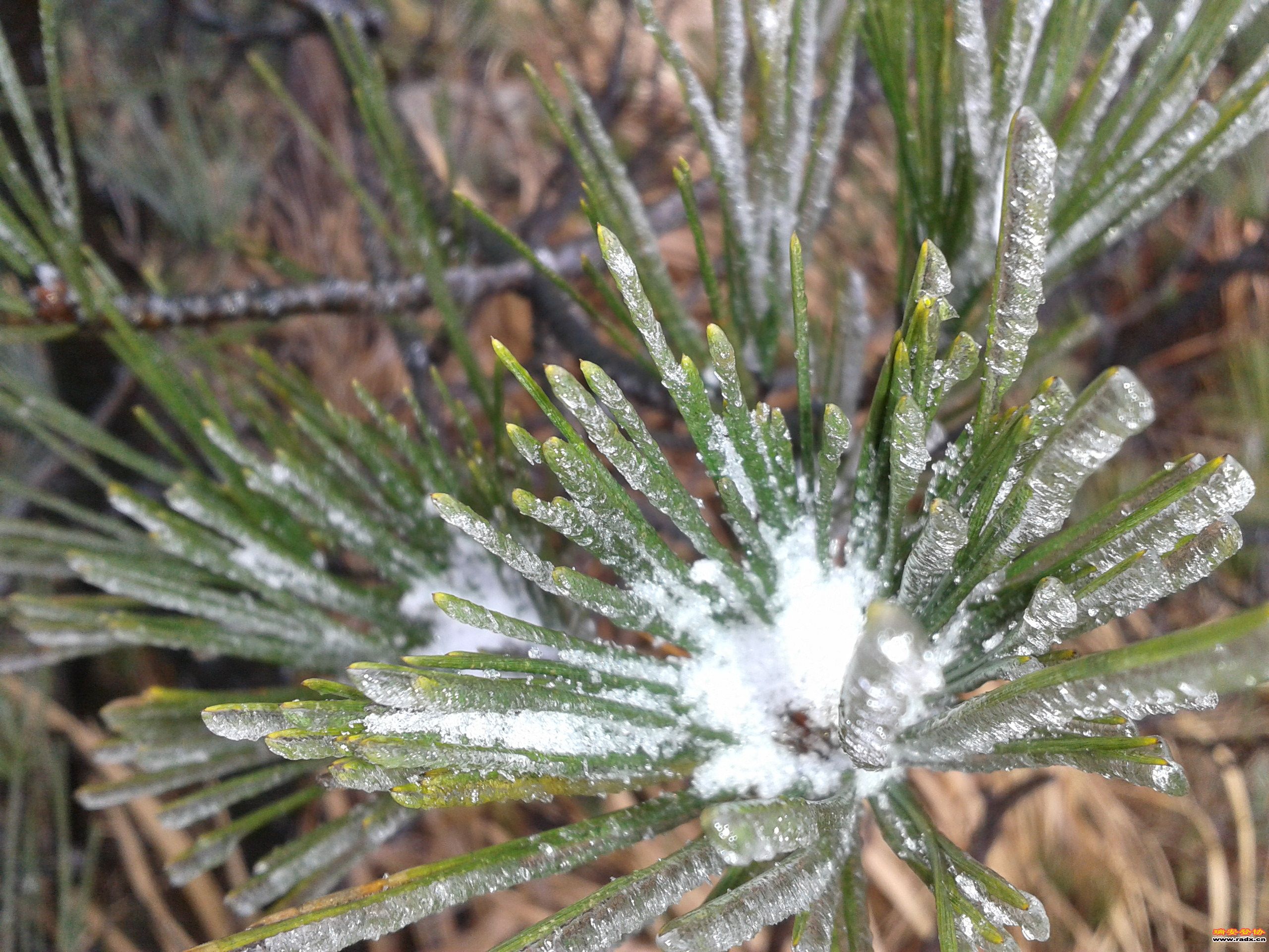 2012-02-02 12.35.23.jpg