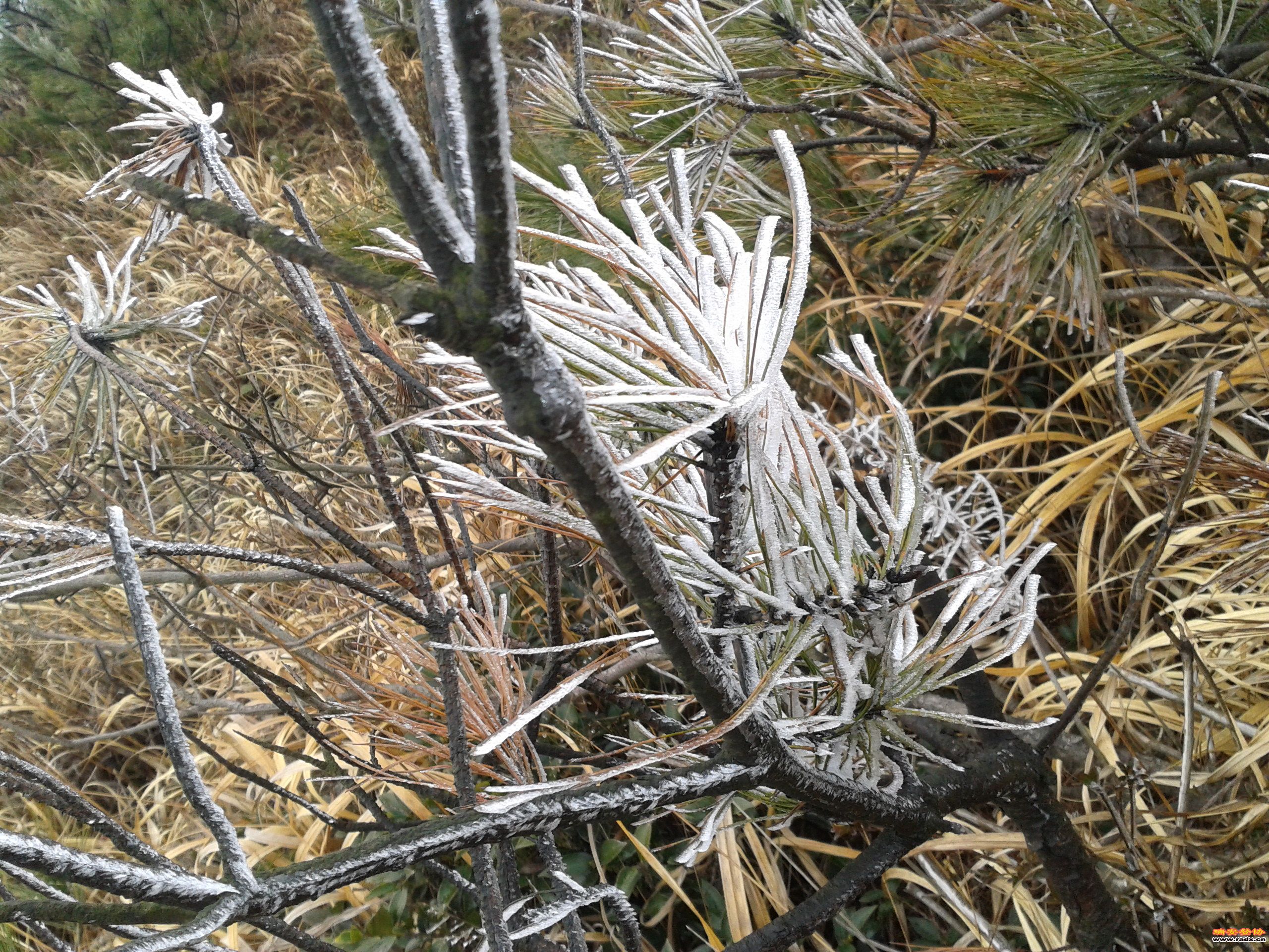 2012-02-02 12.51.56.jpg