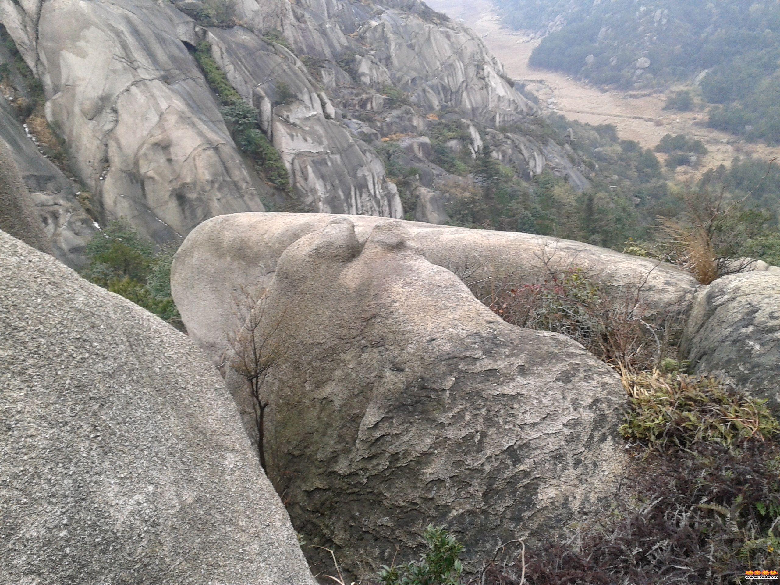 2012-02-02 10.12.08.jpg